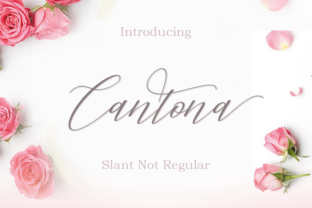 Cantona Font: A Calligraphy Typeface for Captivating Brand Content