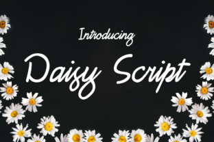 Daisy Script: A Feminine Font for Campaign Designers